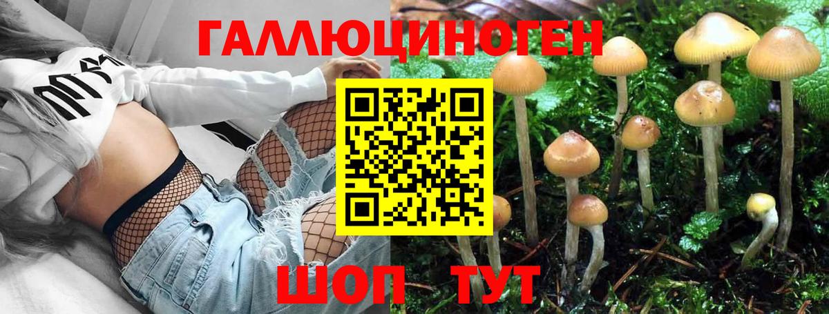 Псилоцибиновые грибы мухоморы  Галлюциногенные грибы MAGIC MUSHROOMS  Вход с VPN  Тайшет 