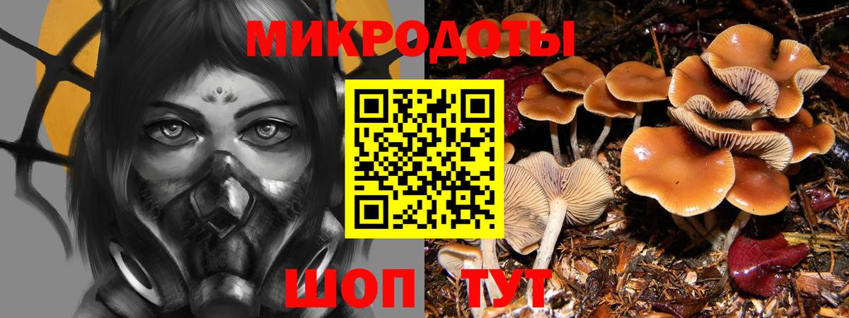 Псилоцибиновые грибы Cubensis Тайшет