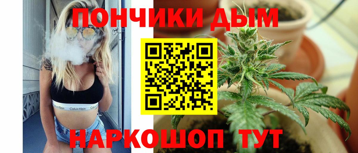 Марихуана сатива Тайшет